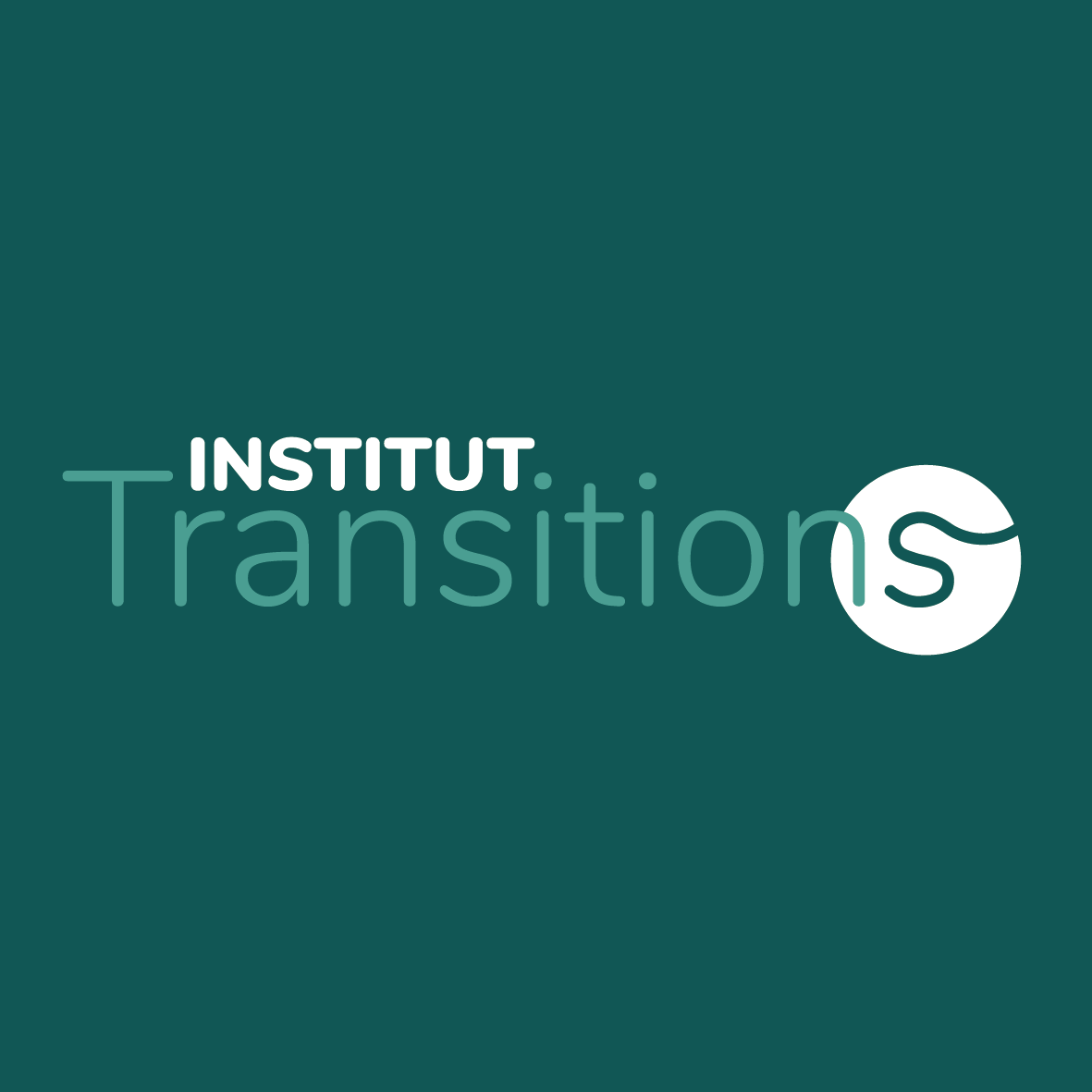 Institut Transitions