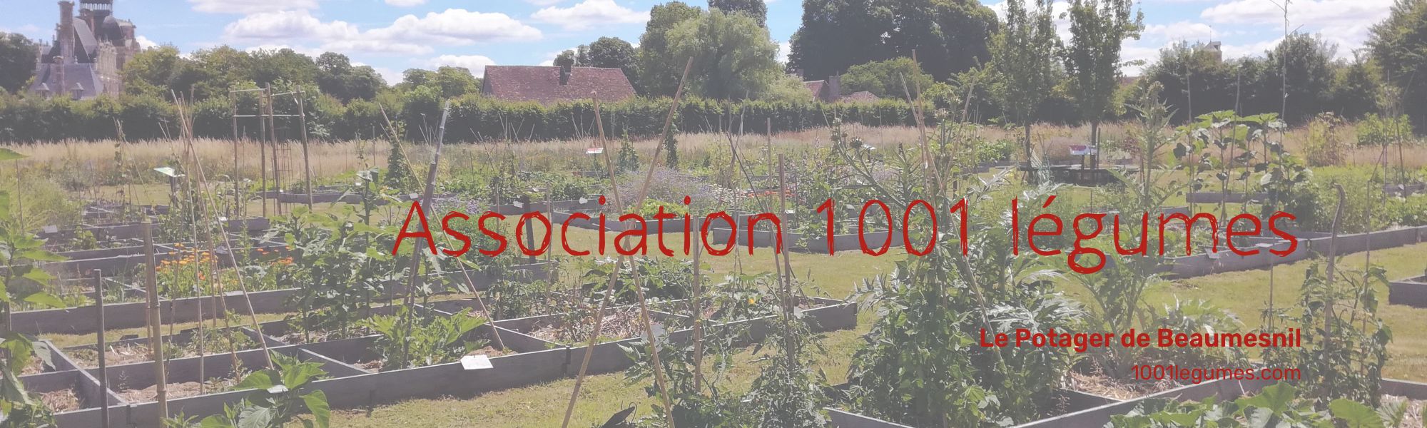 Bannière de Association 1001 légumes - CPIE Terres de l'Eure Pays D'Ouche