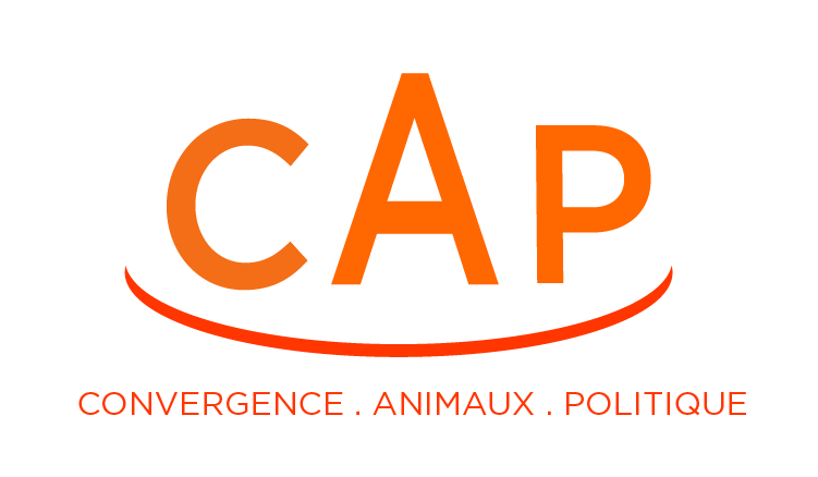 Convergence Animaux Politique