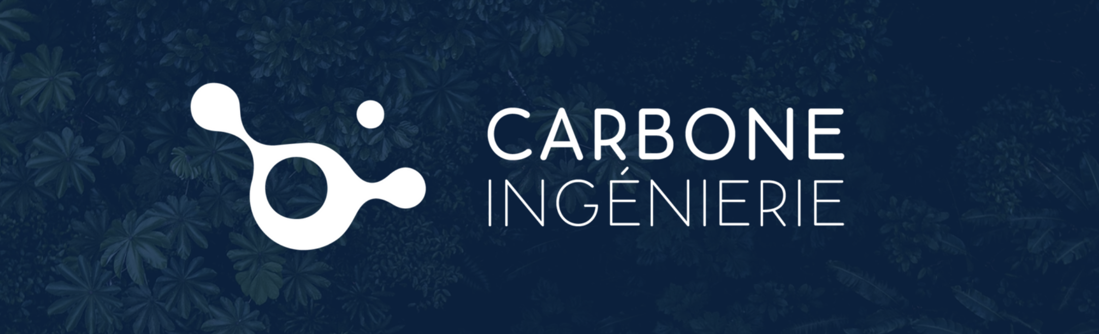 Bannière de Carbone Ingénierie