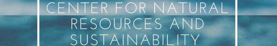 Company banner