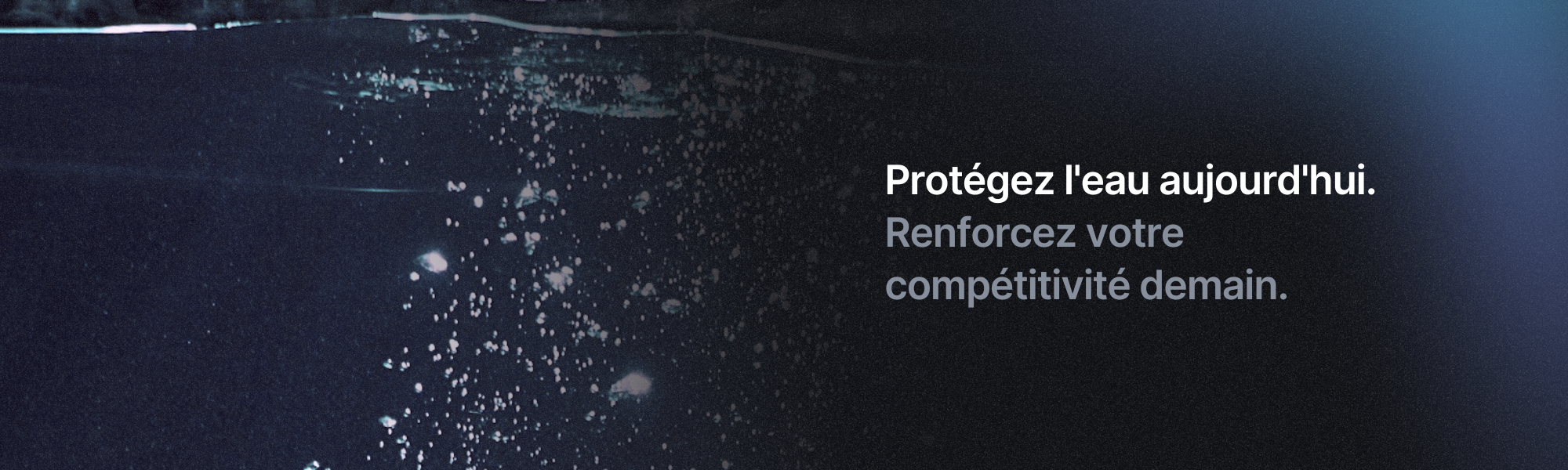 Company banner