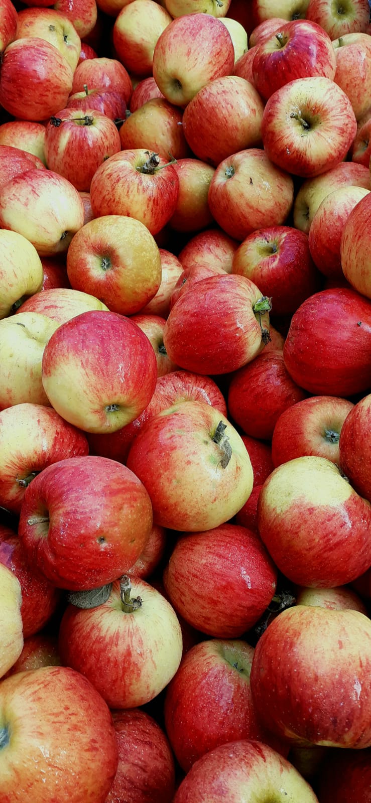 Bannière de SAS Saint jean de l'Isle