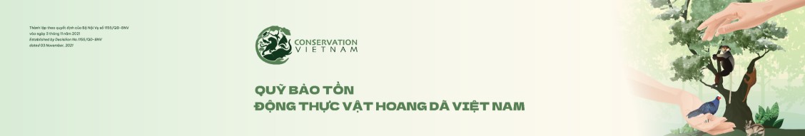 Company banner