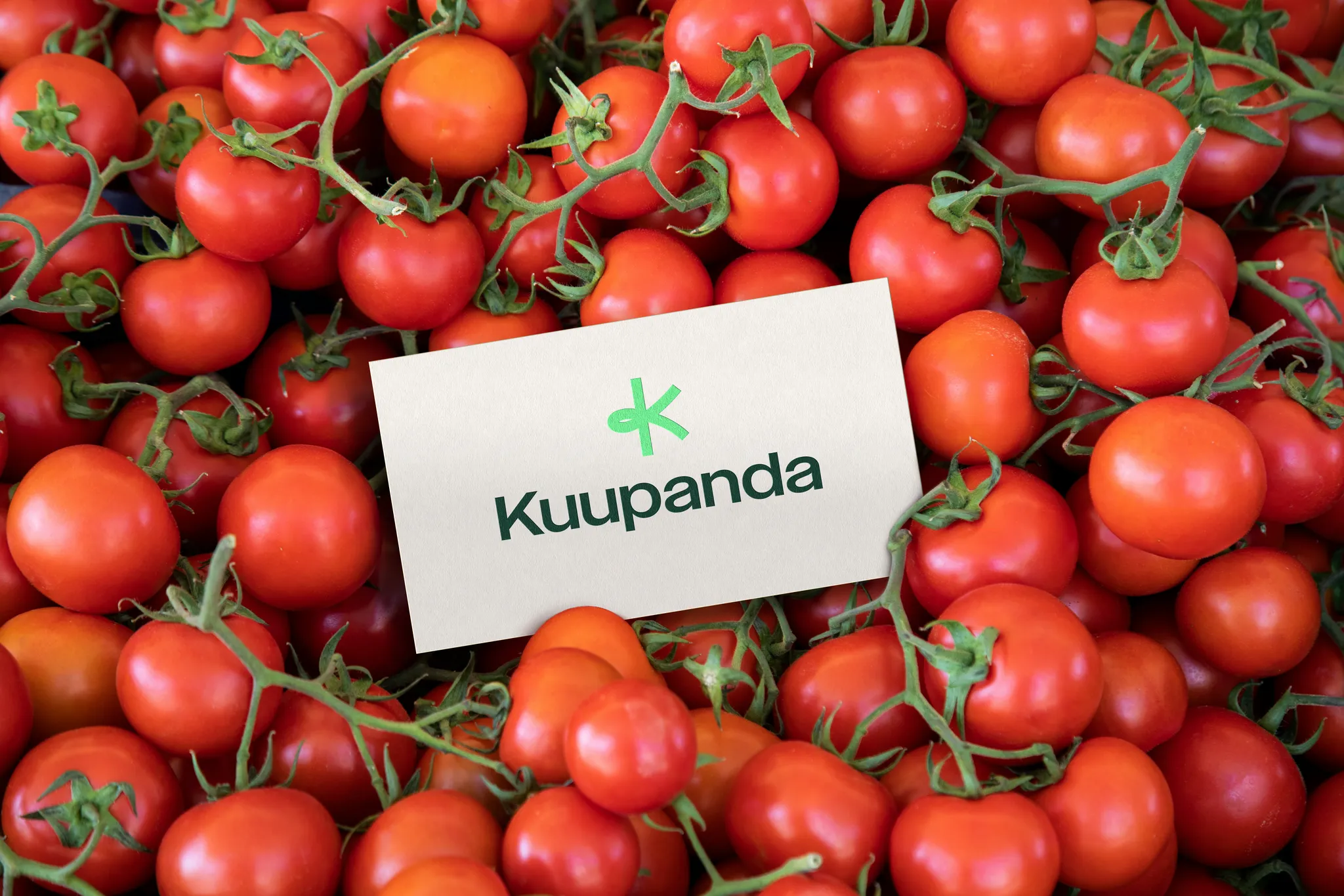 Company banner