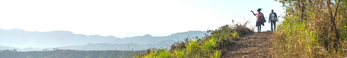 Company banner