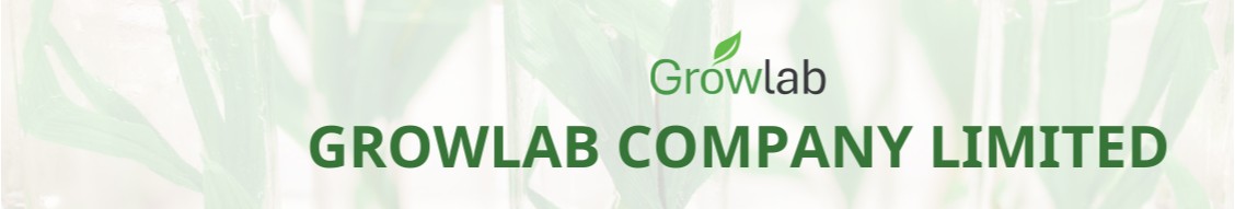 Company banner