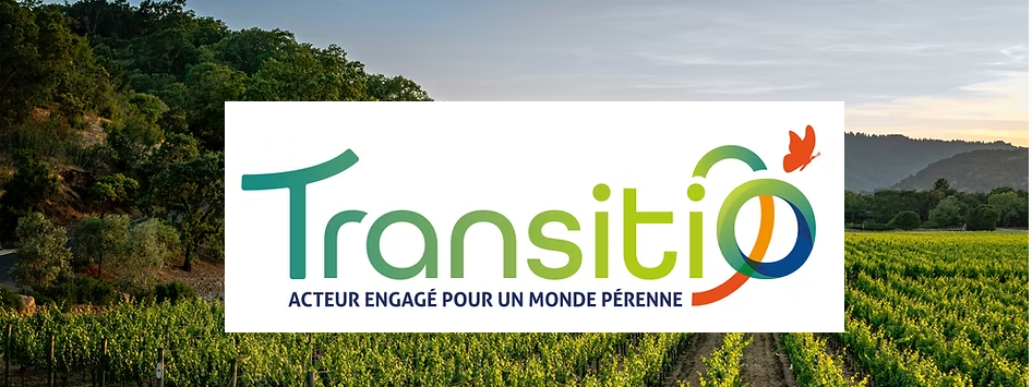 Bannière de TRANSITIO