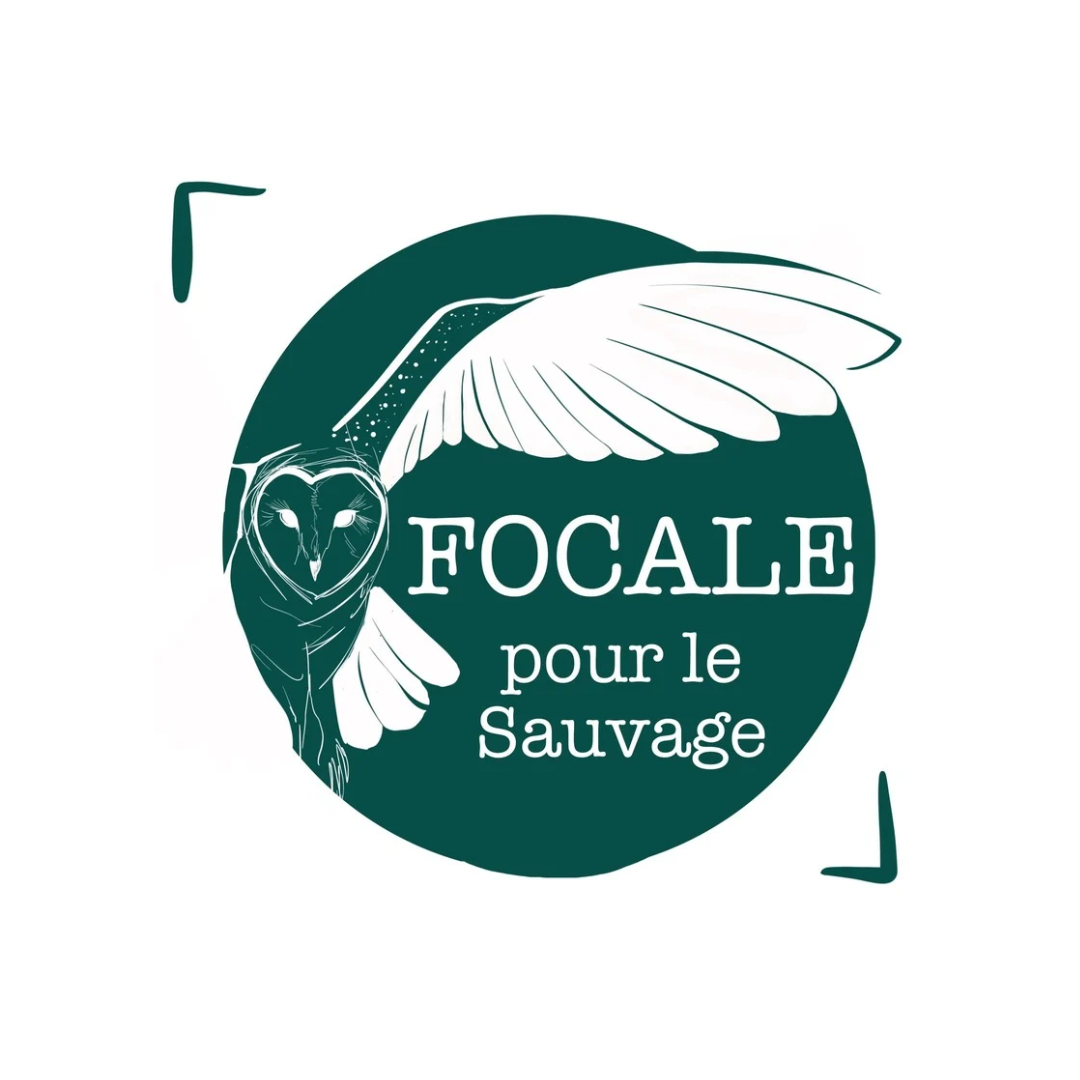 Focale pour le sauvage 