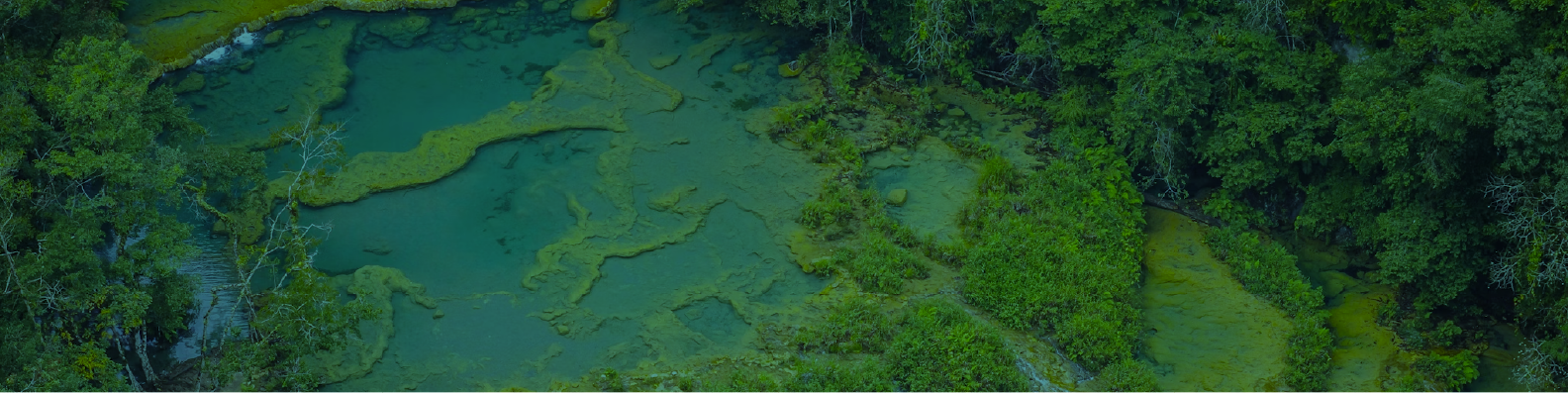 Bannière de GREENNOVATION