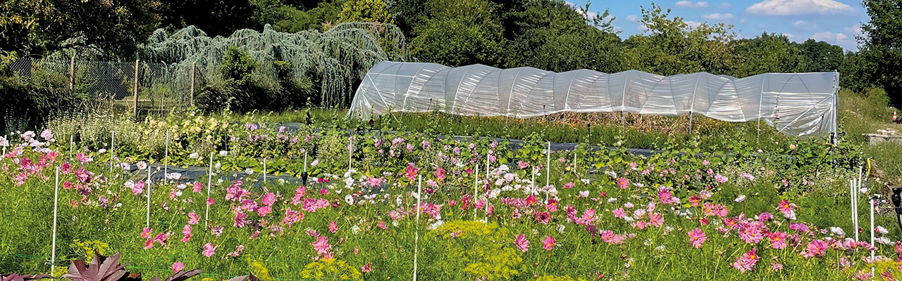 Bannière de Les Fleurs de Sonchamp