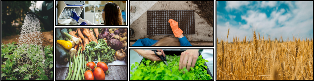 Bannière de AgriLifeStudio