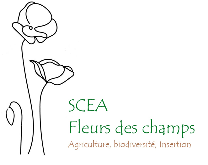 Bannière de SCEA Fleurs des champs