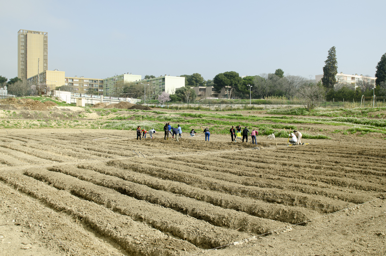 Bannière de La Cité de l'agriculture 