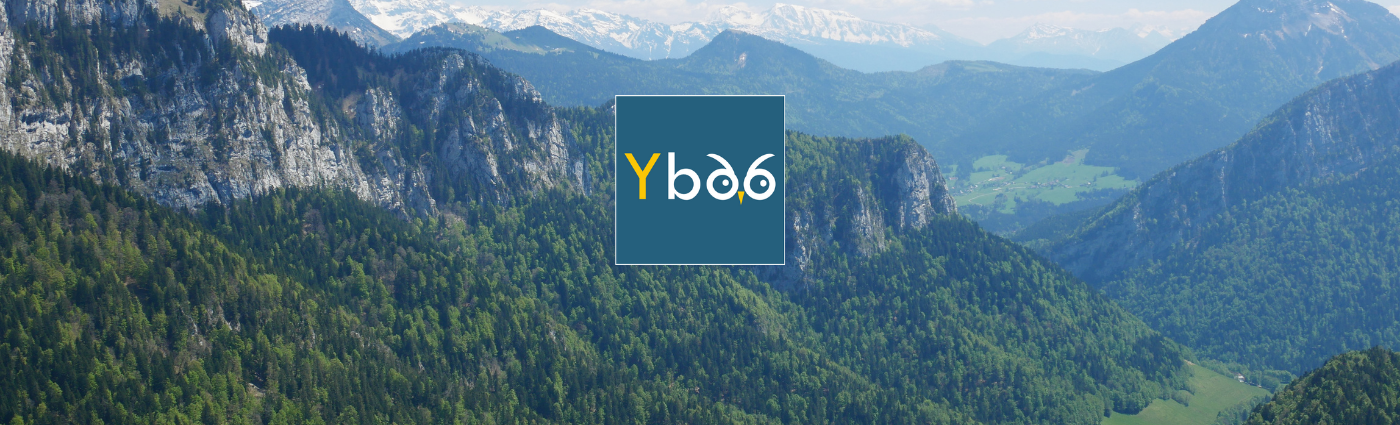 Bannière de Yboo