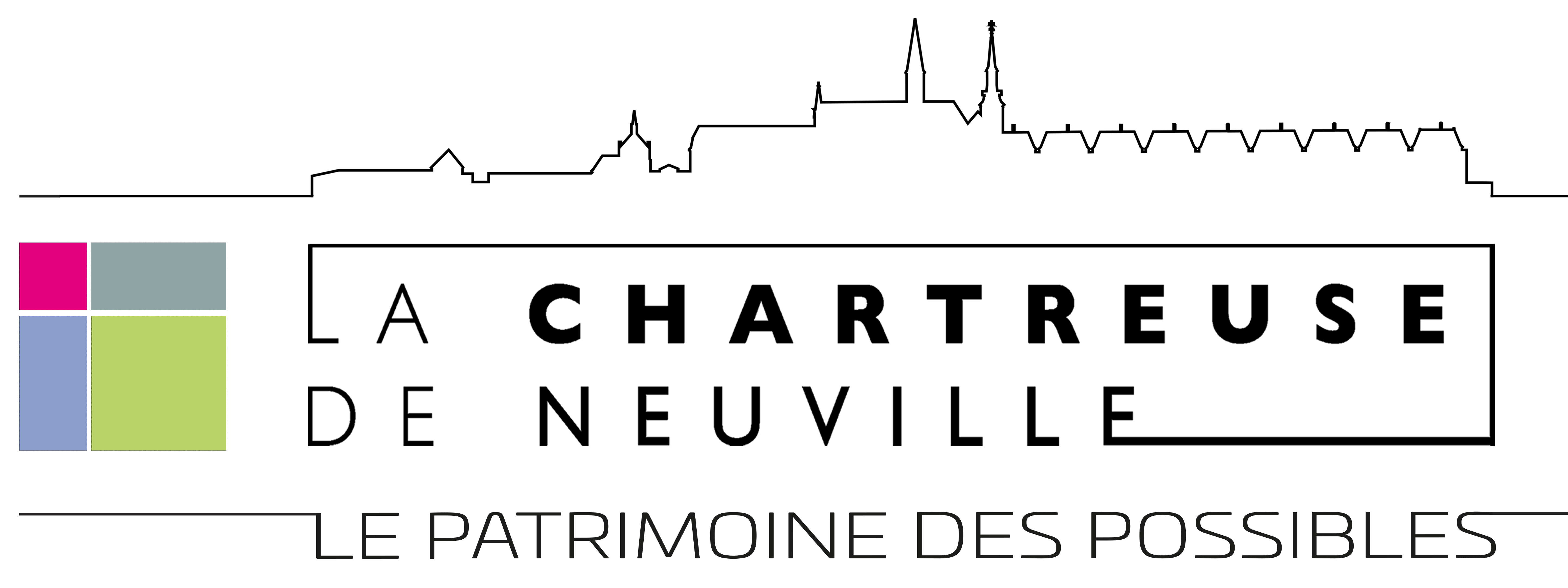 ASSOCIATION DE PREFIGURATION DE LA FONDATION LA CHARTREUSE DE NEUVILLE