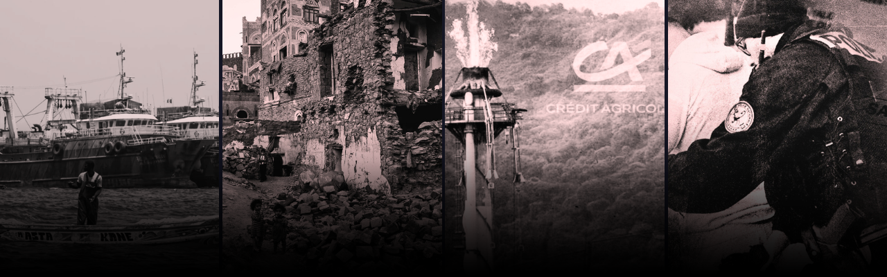 Bannière de Disclose