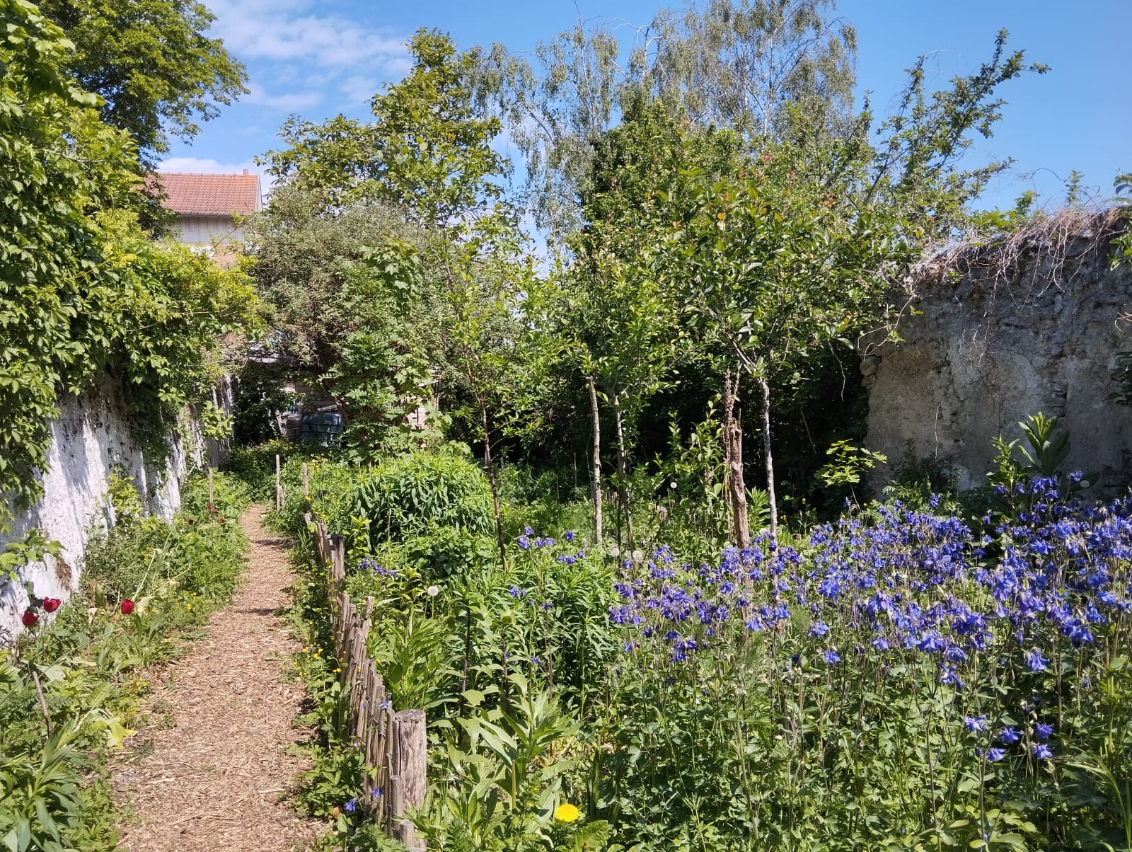 Bannière de Le Sens de l'Humus
