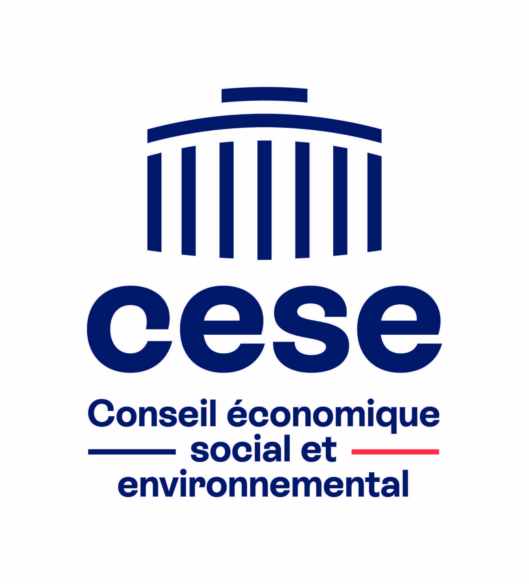 Groupe des organisations étudiantes et mouvements de jeunesse du CESE