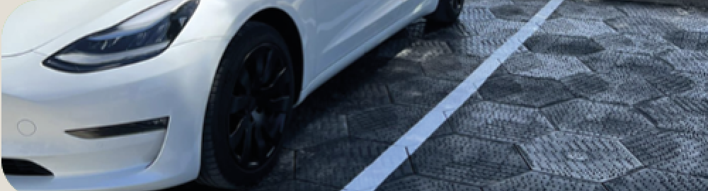 Bannière de PURPLE ALTERNATIVE SURFACE