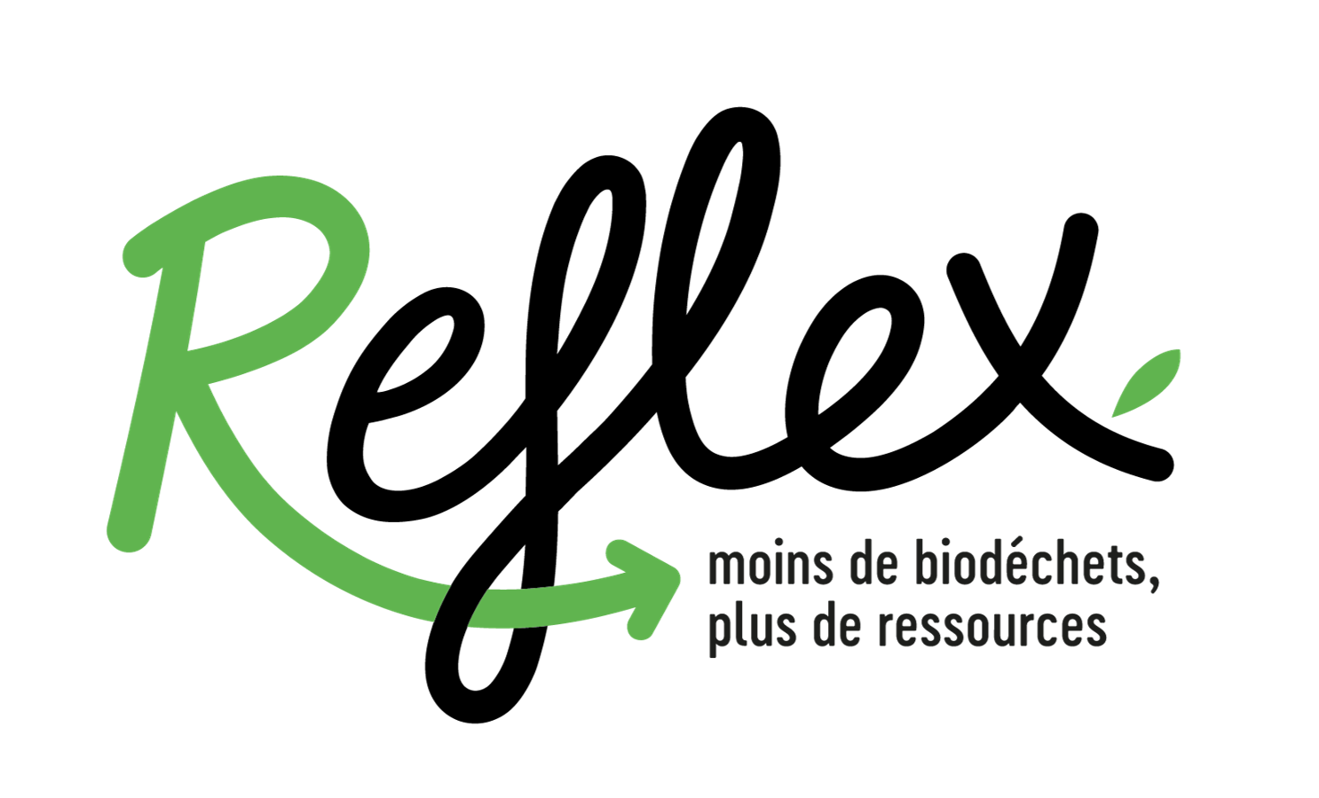 Reflex Jobapp REFLEX recruitement - Job offer, internship and volunteering