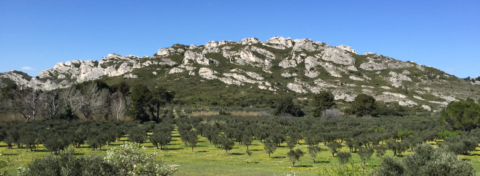 Bannière de Communauté de Communes de la Vallée des Baux-Alpilles