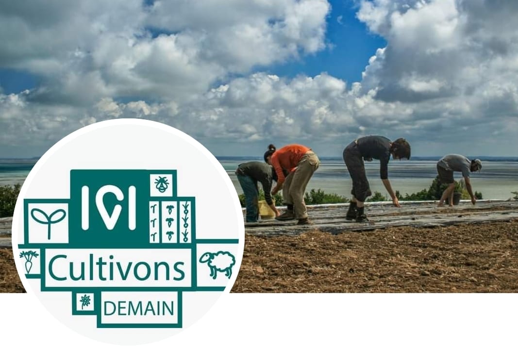 ici-cultivons-demain-recruitement-job-offer-internship-and-volunteering