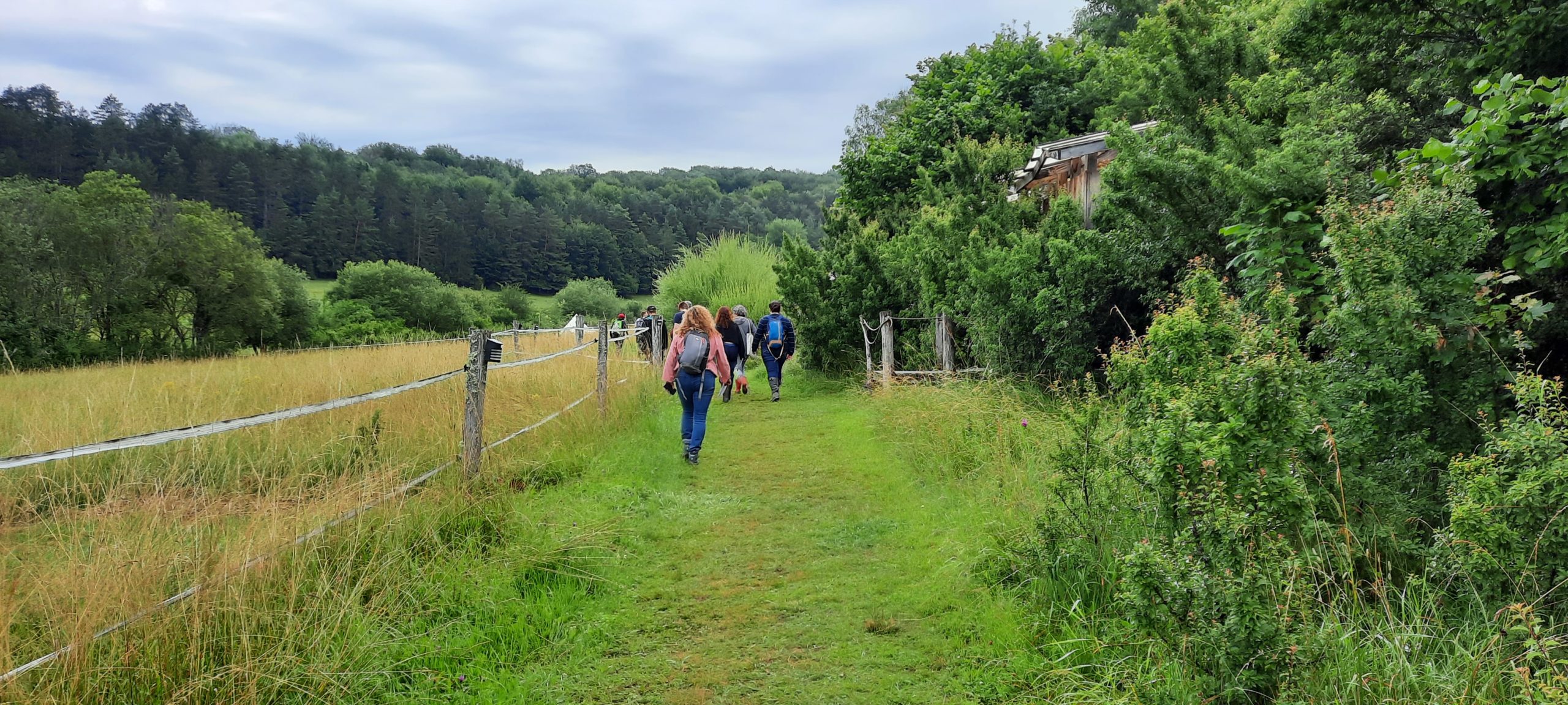 Bannière de GRAINE Champagne-Ardenne - réseau d'éducation à l'environnement & à la nature vers un développement durable en Champagne-Ardenne