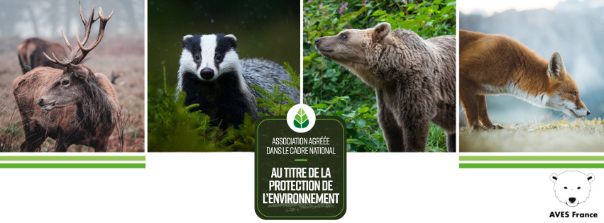 Bannière de Agir pour le Vivant et les Espèces Sauvages (AVES France)