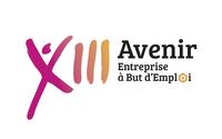 13 Avenir logotype