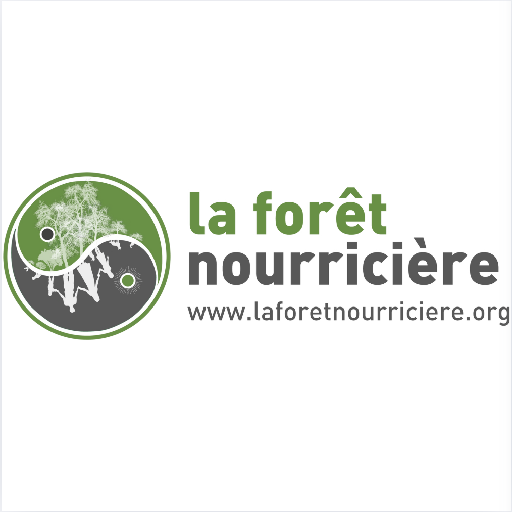Image representing the program